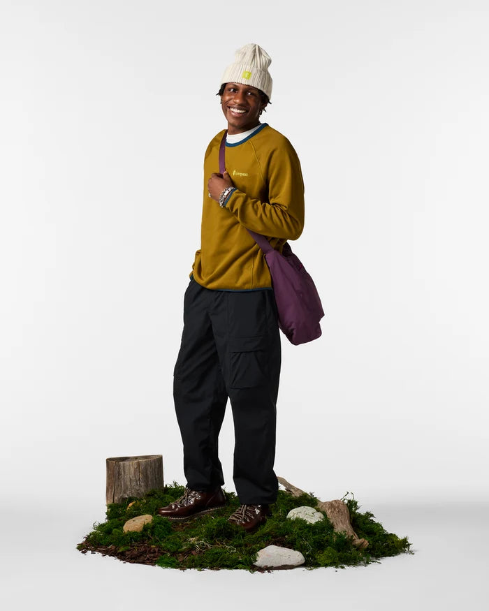 Load image into Gallery viewer, Cotopaxi Men's Tempa Fleece Crew
