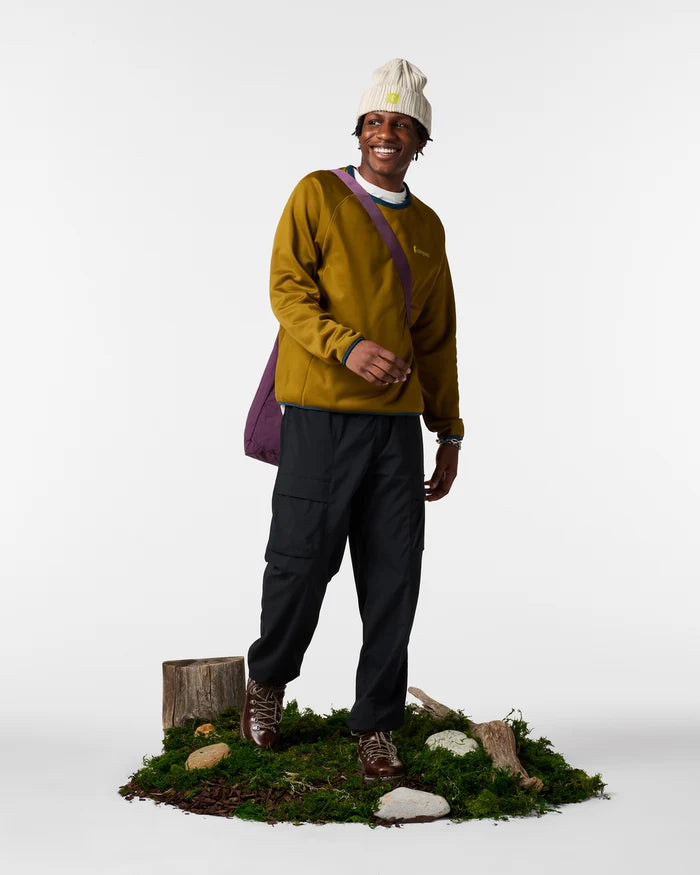 Load image into Gallery viewer, Cotopaxi Men's Tempa Fleece Crew
