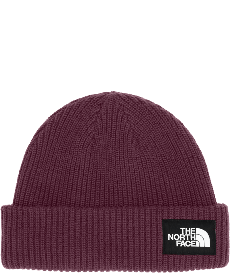 Load image into Gallery viewer, The North Face Salty Lined Beanie
