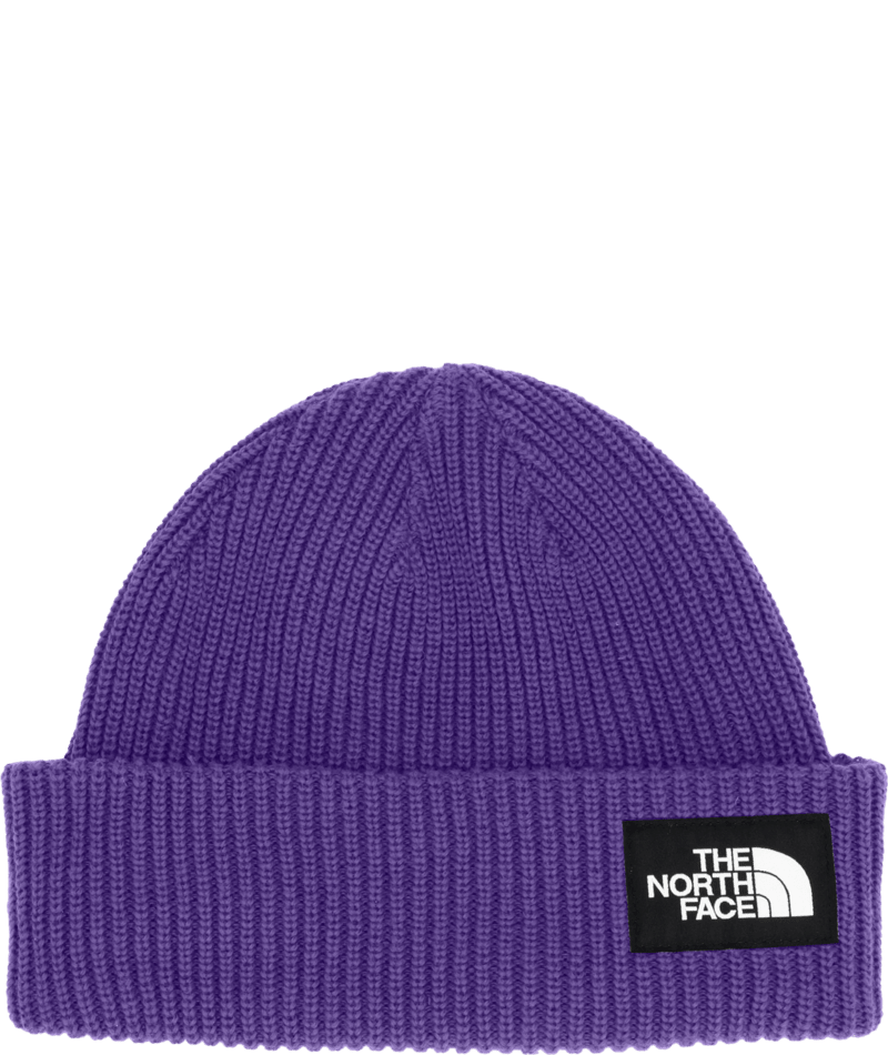 Load image into Gallery viewer, The North Face Salty Lined Beanie
