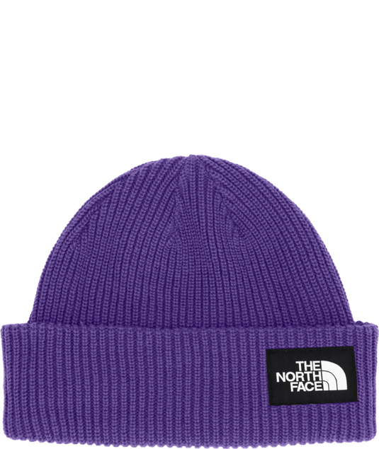 The North Face Salty Lined Beanie