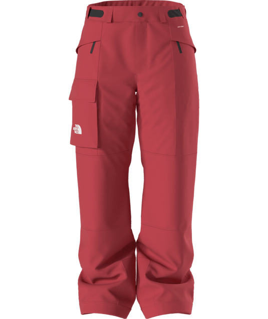The North Face Men's Freedom Insulated Pant