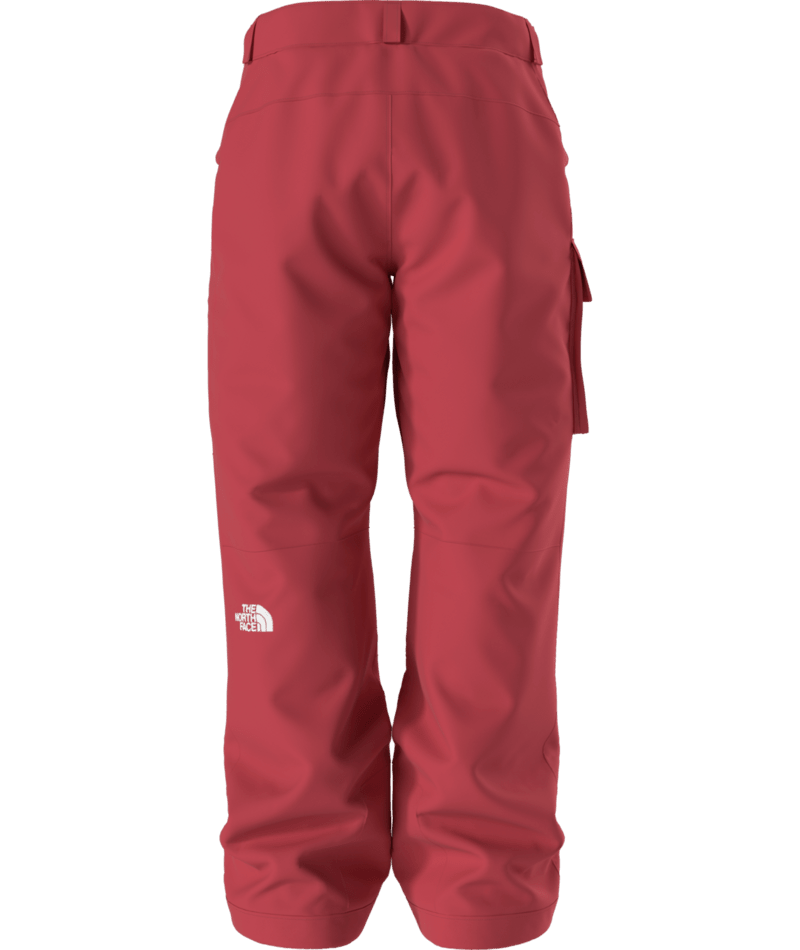 Load image into Gallery viewer, The North Face Men's Freedom Insulated Pant

