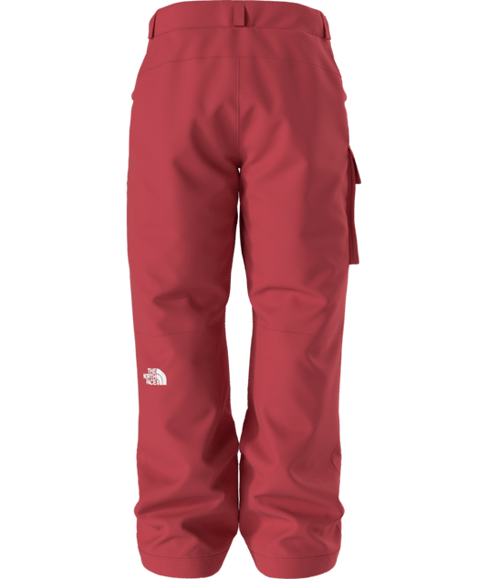The North Face Men's Freedom Insulated Pant