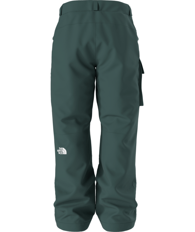 Load image into Gallery viewer, The North Face Men's Freedom Insulated Pant
