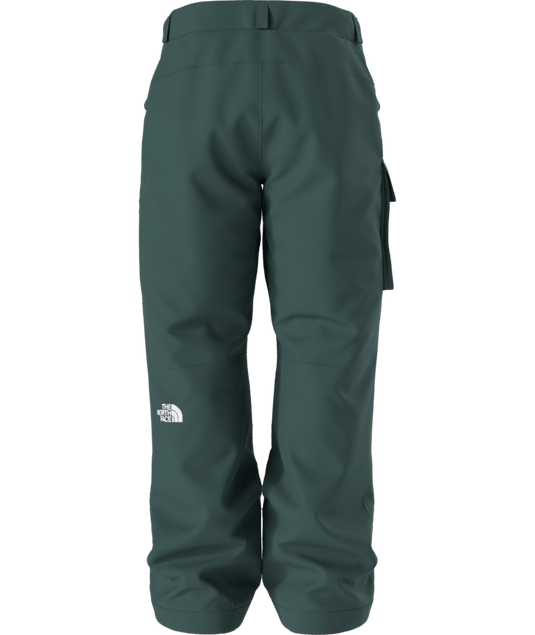 The North Face Men's Freedom Insulated Pant
