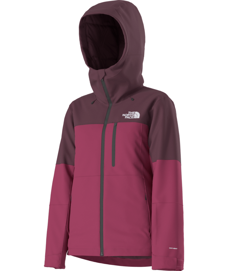 Load image into Gallery viewer, The North Face Women's Freedom Insulated Jacket
