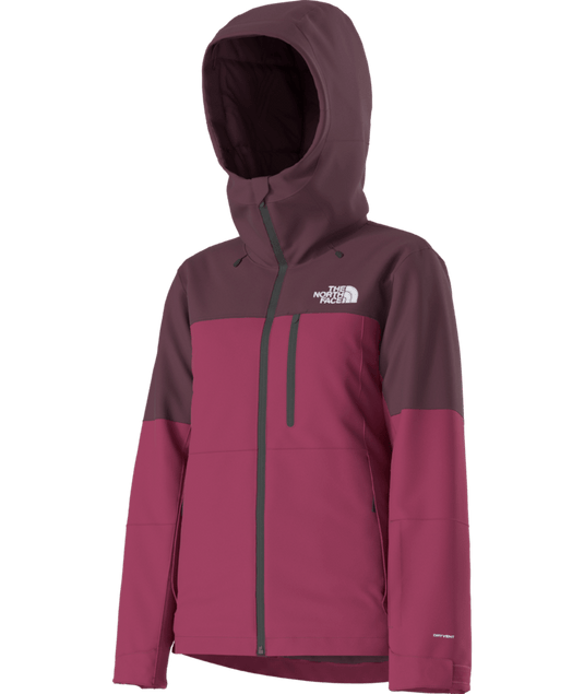 The North Face Women's Freedom Insulated Jacket