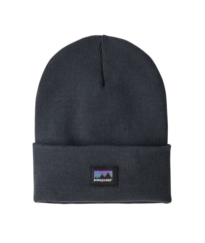 Load image into Gallery viewer, Patagonia Everyday Beanie 2027

