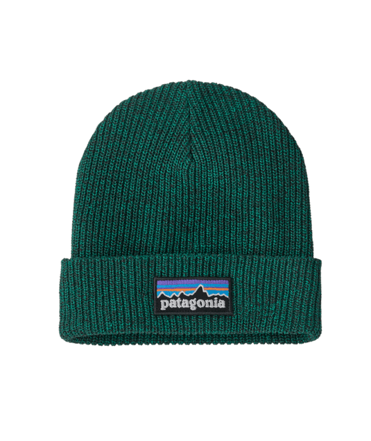 Patagonia Kids' Logo Beanie 2027