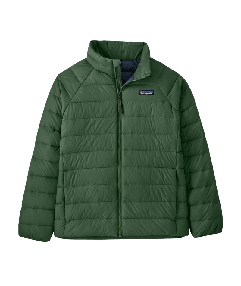 Load image into Gallery viewer, Patagonia Kids' Down Sweater 2027
