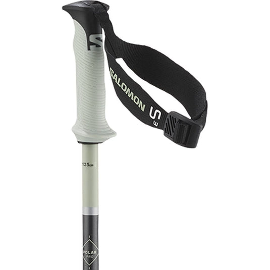 Salomon Polar Pro S3 Ski Poles 2027