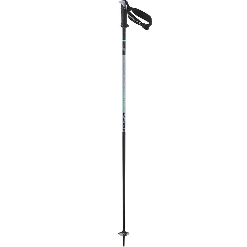 Load image into Gallery viewer, Salomon Polar Pro S3 Ski Poles 2027
