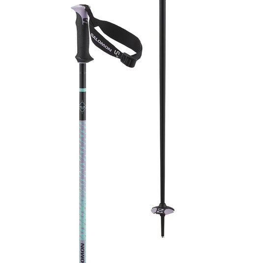 Salomon Polar Pro S3 Ski Poles 2027