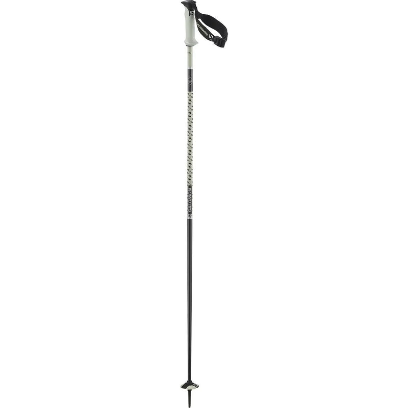 Load image into Gallery viewer, Salomon Polar Pro S3 Ski Poles 2027
