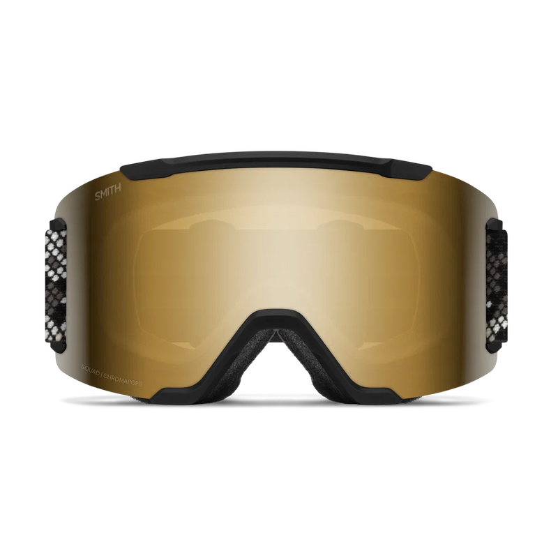Load image into Gallery viewer, Smith Squad Goggles
